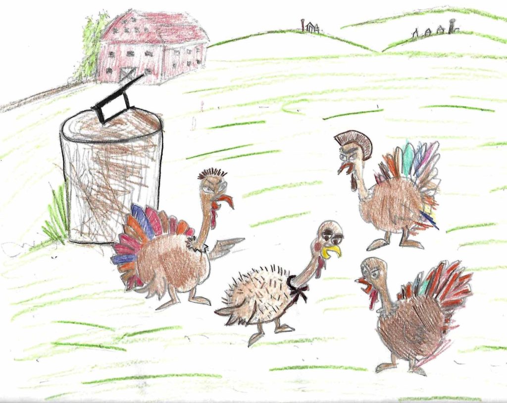 Drawing of turkeys
