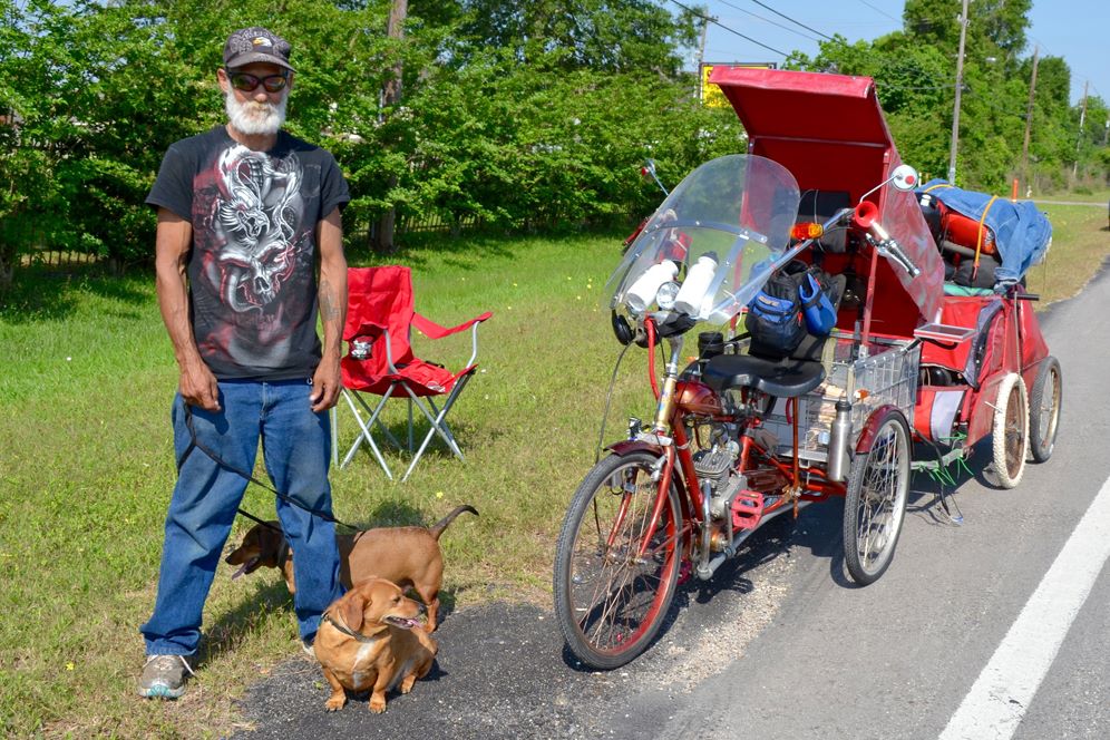Bike rider with two dogs at side of road