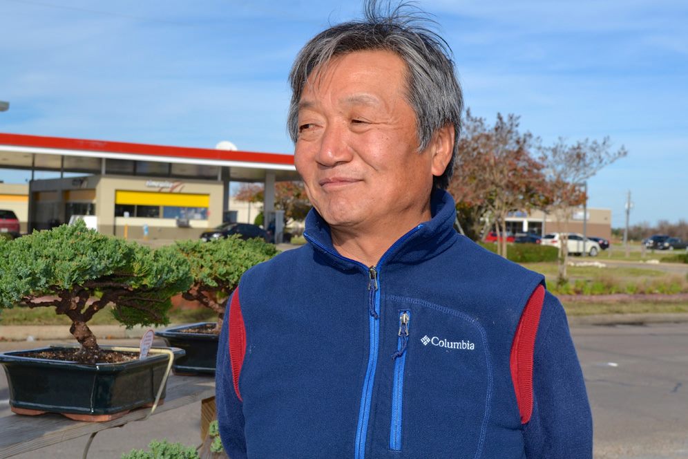 Man selling bonsai trees
