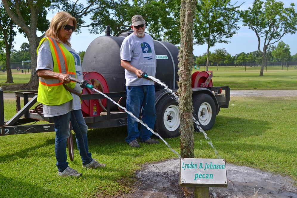 City employees water tree at park