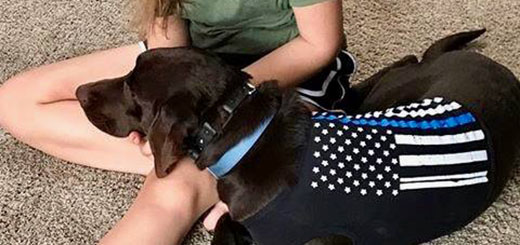 Labrador retriever sits with daughter of fallen police officer
