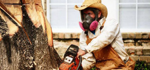 Jimmy Phillips carving a tree with a chainsaw