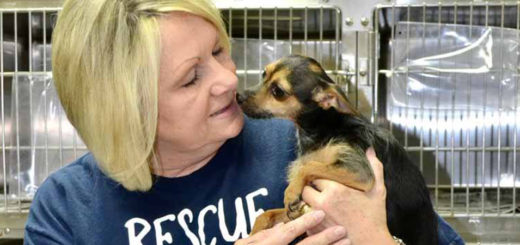 Lou Sisk holds a puppy