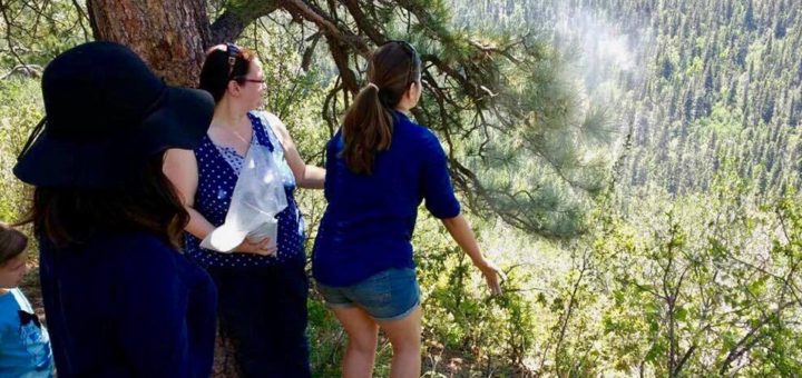 Members of the Peery family release Don Peery's ashes on a mountaintop