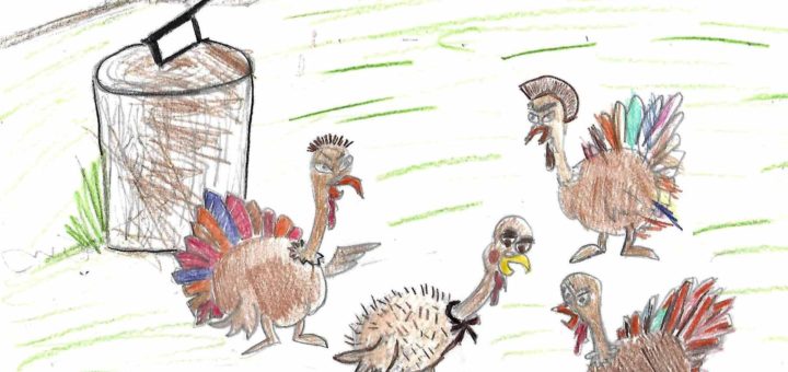 Drawing of turkeys