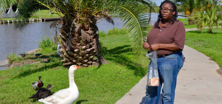 Woman feeds ducks at park
