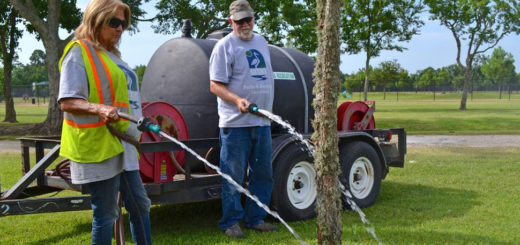 City employees water tree at park