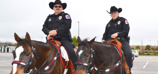Two police officers ride service horses