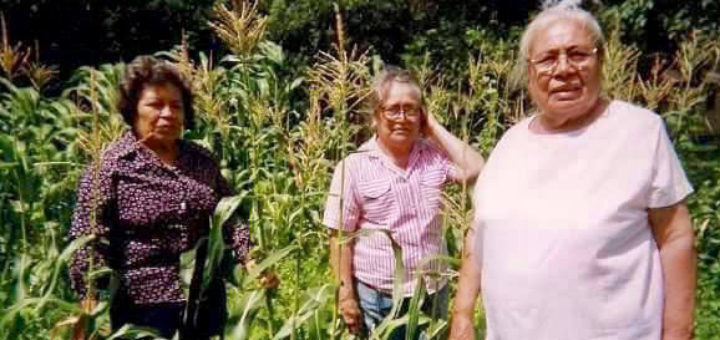 The Daisies in their yard