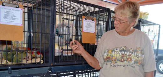 No kill shelter owner with dogs