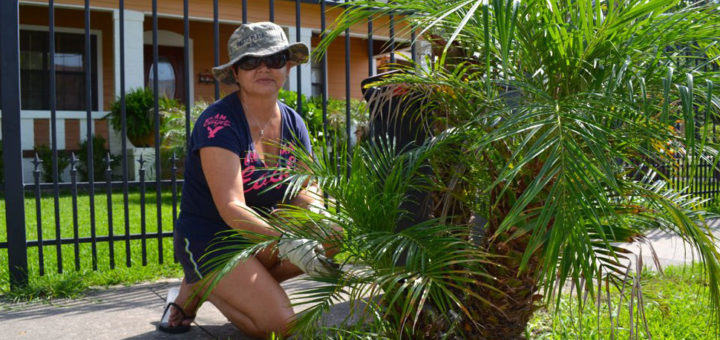 Woman works in her yard