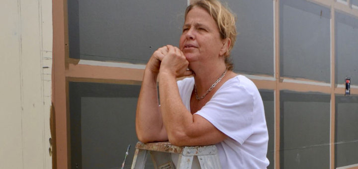 Suzanne Sellers stands on ladder