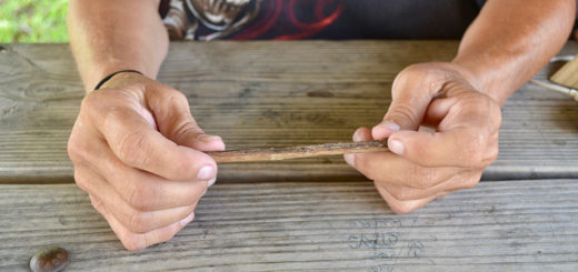 Pat holds a stick in her hands